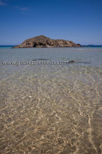 Chia (40D_11860_2rid).jpg